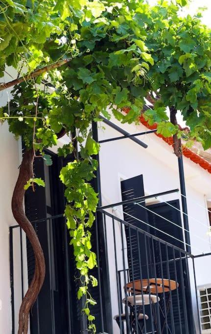 Titinas' Villa Plomari Exterior foto